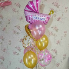 Кульки на виписку з пологового Дівчинці